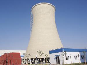 pg电子游戏试玩中标斯里兰卡15MW生物质发电项目
