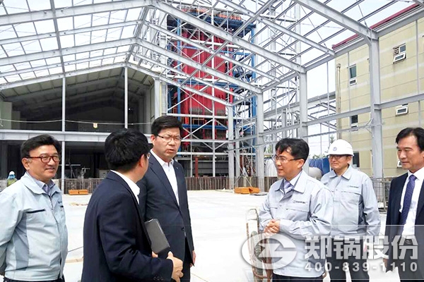 韩国平泽市市长视察pg电子游戏试玩30T生物质锅炉现场