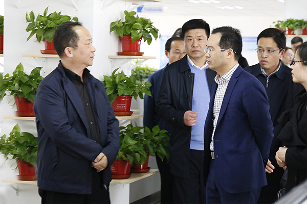 河北省工业和信息化厅厅长龚晓峰莅临pg电子游戏试玩