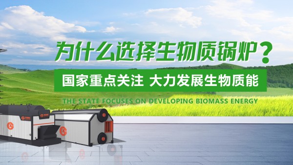 pg电子游戏试玩生物质锅炉：绿色生长的“时代之选”