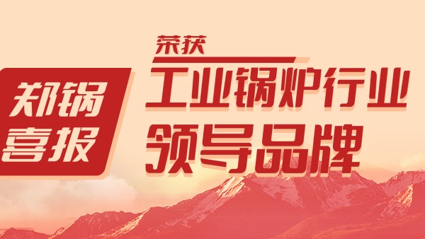 pg电子游戏试玩股份荣获“工业锅炉行业向导品牌”和“出口创汇先进企业”等声誉