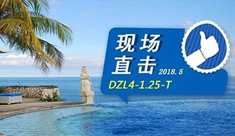现场直击丨看生物质锅炉在巴厘岛怎样强操作，，，，，，转头客非它不选