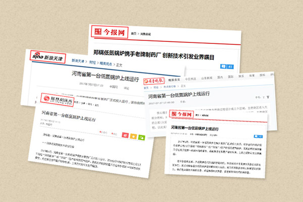 低氮燃气锅炉,低氮天燃气锅炉,低氮燃油燃气锅炉专题-pg电子游戏试玩股份